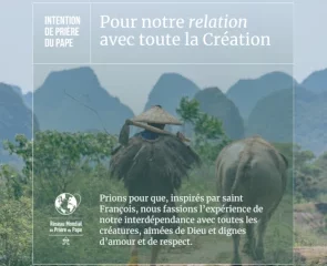 Image de l'intention de prière du pape pour septembre 2025 avec l'inscription Prions pour que, inspirés par saint François, nous fassions l’expérience de notre interdépendance avec toutes les créatures, aimées de Dieu et dignes d’amour et de respect.